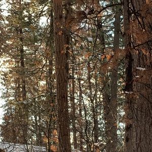 Meet your Posher, Nathaniel